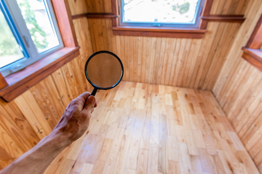 Termite Damage