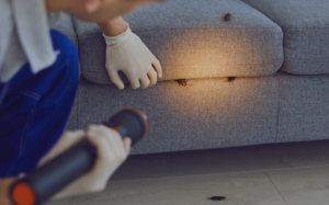 Cockroaches